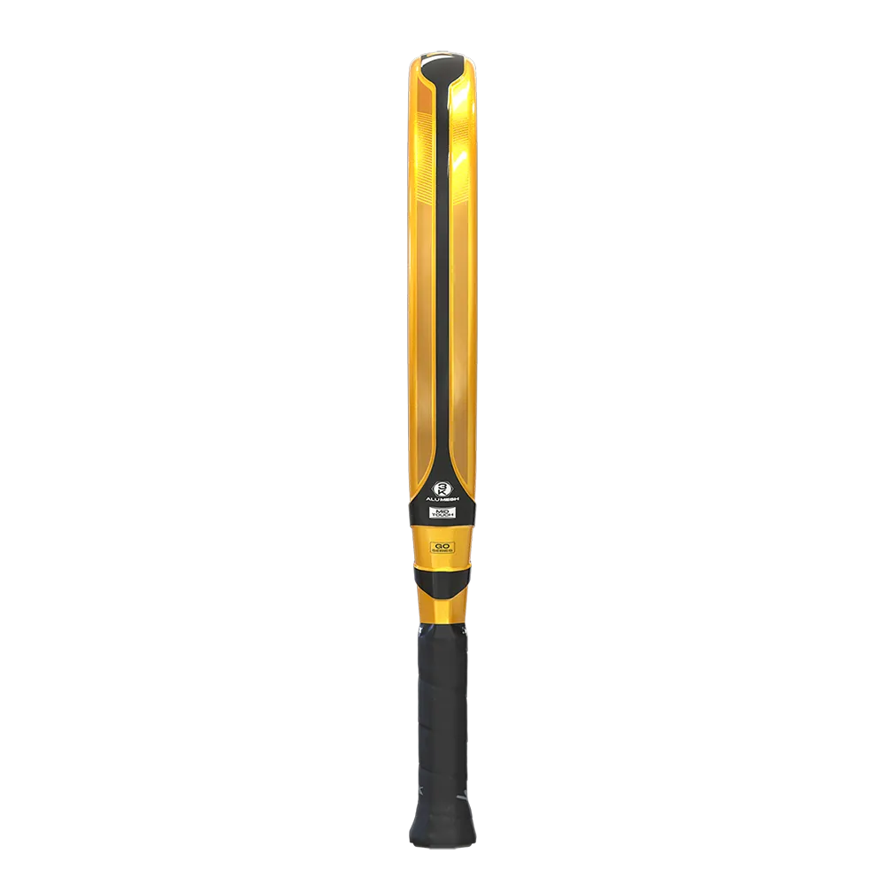 SIUX ELECTRA GO 4 2025