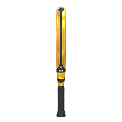 SIUX ELECTRA GO 4 2025