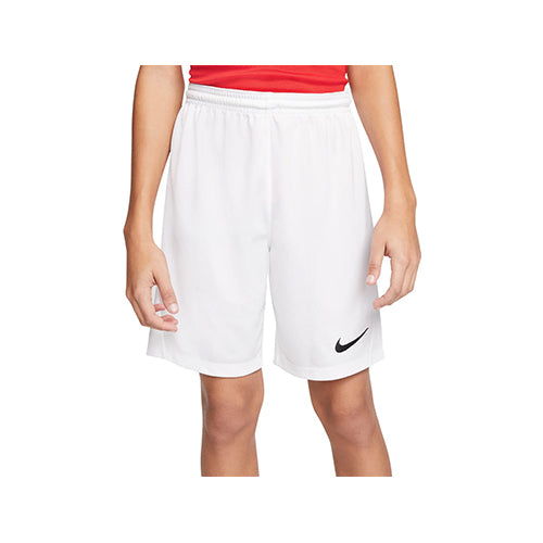 Nike Dry Park III Multicolor Short (X1)