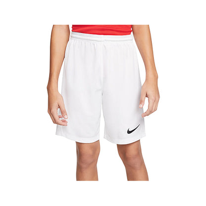 Nike Dry Park III Multicolor Short (X1)