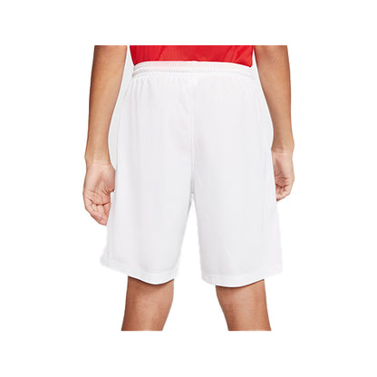 Nike Dry Park III Multicolor Short (X1)